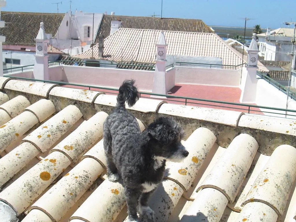 Guest House Capitao Mor District de District de Faro 3*,  Portugal